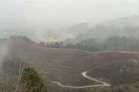 皂角坪街道全力冲刺油茶产业配套基础设施以工代赈项目建设图片