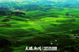 破坏生态的项目，再大也不要｜多彩贵州拒绝污染图片