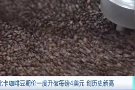 全球咖啡豆主产区减产，近一年阿拉比卡咖啡豆期价飙涨约114%图片