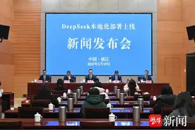 江苏镇江：DeepSeek单日处理量等于全市公务员10年工作量图片