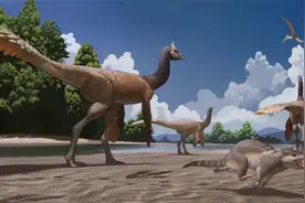 广东又发现恐龙足迹！图片