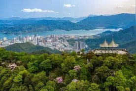 全球优企聚，盐田欢迎你图片