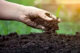 环保科普｜土壤污染知多少？图片
