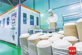 变！看海口国家高新区云龙产业园甘蔗渣变成环保餐具图片