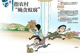 南川对村巡察 剑指农村“蝇贪蚁腐”图片