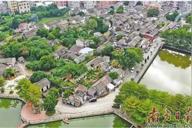 塘厦加快实现城乡面貌蝶变图片