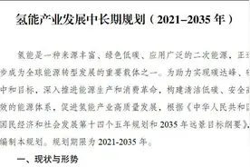 中国将提前实现“绿色”氢能目标，超过世界其他国家总和图片