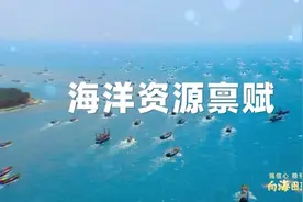 强信心 稳预期 促发展丨“石化+风渔” 如何助推揭阳乘风破浪？视频封面