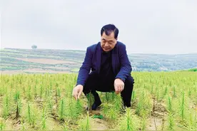 感恩农民 汗水落地养苍生图片