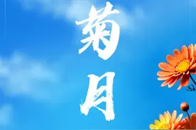 节令之美丨农历九月天，菊花有佳色图片