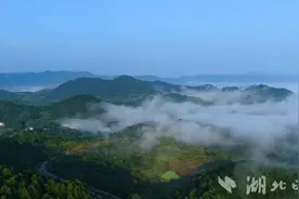 蕲春：点燃人才引擎 擦亮蕲艾名片图片