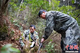 湖北深山匠人坚守三十载 以刀作“笔”化朽为奇图片