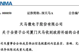 厦门天马微电子有限公司收到政府补助1亿元图片