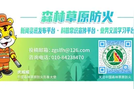 威聚焦丨科技赋能绿色屏障 重庆森林防火工作的智慧转型图片