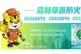 威聚焦丨四川白玉实施森林草原防灭火"六条措施"图片