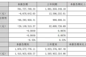 天娱数科上半年盈转亏667万元，董事长被留置无法签中报图片