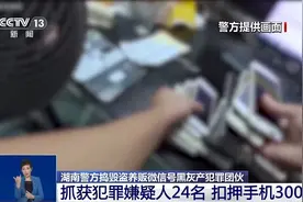 刷好评丢了账号还可能成犯罪帮凶 警方揭露盗养贩账号黑灰产链条图片