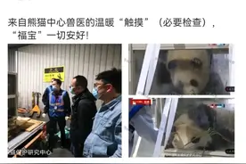 福宝被“戳”引网友不满？官方回应图片
