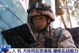 武警+军犬+穿越机战力MAX！硬核“反恐小分队”了解一下图片