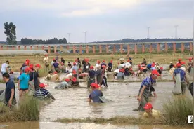 摸鱼庆丰收！石林县西街口镇举办摸鱼活动图片