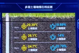 河南：“5G+数字农业”助力小麦播种视频封面