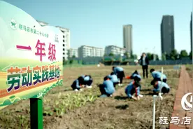 河南省第四批中小学劳动教育特色学校公示 驻马店市第二十八小学榜上有名图片