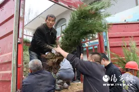 清明植树 文明祭祀——佳县向市民免费发放近1万株树苗图片