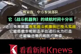 可火力打击能输送弹药！我军战斗机器狗投入实战图片