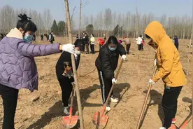 “网络种树”兴起，互联网时代义务植树有新玩法图片