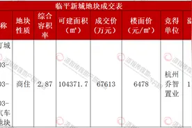 临平新城“黄金C位”崛起：TOD项目引领区域价值升级图片
