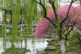 杭州向你发出赏花邀约，漫步浪漫的桃花堤，景中村也藏着惊喜图片
