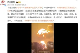 成都一车辆燃爆产生巨大火球，官方通报图片