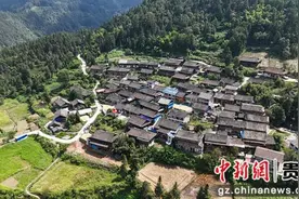 贵州剑河：山地“小农机” 秋收“大帮手”图片