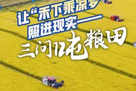 深读｜吨粮田，靠谱吗？图片