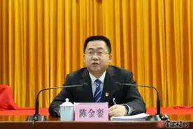 “80后”清华博士、梅州市委副书记陈金銮任清远代市长图片