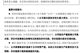 被“爆炒”的化工龙头股跌停！涨价题材要熄火了吗？分析师：涨价线索需要重视图片