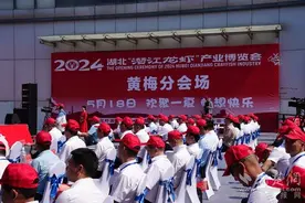 黄梅牵手“潜江龙虾”，做大小龙虾产业图片