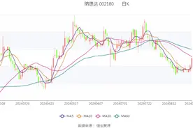 纳思达：2024年上半年净利润9.74亿元 同比增长177.37%图片