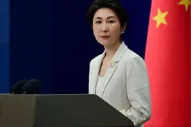 两只大熊猫今日赴美，中方：相信将为增进中美两国人民友谊作出新贡献图片