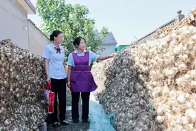 做更懂“三农”“小微”的本土银行！兰陵农商银行坚守市场定位发展普惠信贷图片