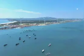 威海又一蓝碳项目落地，东营湿地碳汇年内预售！山东海洋碳汇加速走向“深蓝”图片