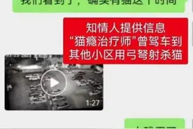 有人一晚虐杀16只猫？警方介入图片