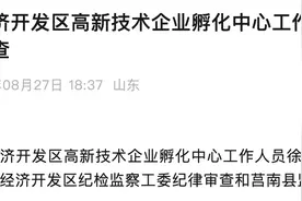 山东临沂临港经济开发区高新技术企业孵化中心工作人员徐东被查图片