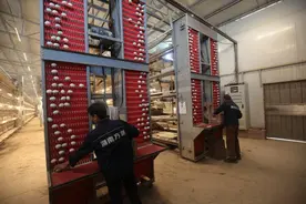 衡阳县：赶鸭子“上架” 助产业升级图片