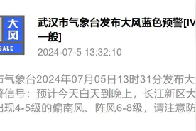 武汉连发大风蓝色预警，请勿在建筑物下逗留图片