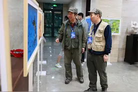 2024年北戴河国际观鸟季闭幕 一鸟种首次在北戴河被记录图片