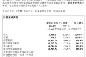 阵痛期持续？微盟、有赞去年双双未逃出下滑“怪圈”  AI之外SaaS玩家还能抓住什么？图片