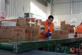 静宁：苹果通过绿色通道远销四方图片