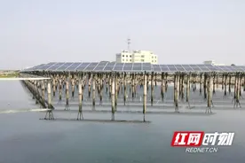 多管齐下 擦亮大通湖大闸蟹“金字招牌”图片