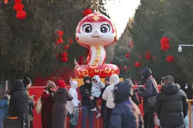 北京地坛庙会开幕，仿清祭地表演人气旺图片